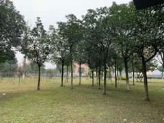 -四川大学(江安校区)