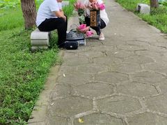 -洪湖生态旅游区