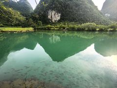 -靖西鹅泉风景区