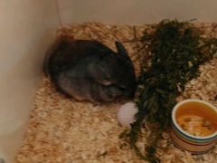 -龙猫仔乐园(惠福东路店)