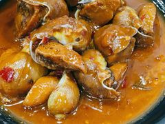 酱爆鲍鱼螺-老虎滩大连海鲜烧烤(建邺云锦路总店)