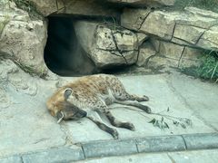 -北京野生动物园