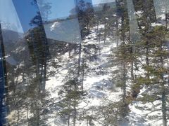 -玉雪春天(中正花园店)