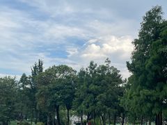 -惠州西湖丰渚园