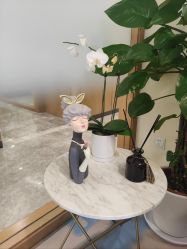 -智美品质医美