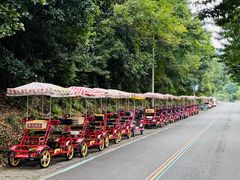 -九龙湖公园