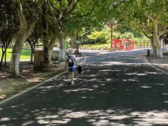 -宜兴龙背山森林公园