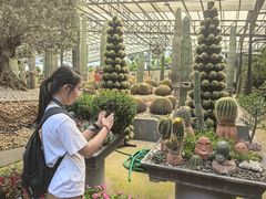 -东芭乐园