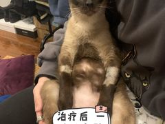 -谐和益家动物医院·免疫绝育·血液透析·宠保定点医院(高新伊藤分院)