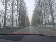 -上海青龙寺