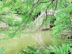 -深圳仙湖植物园