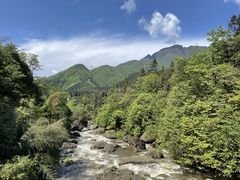 -碧峰峡风景区