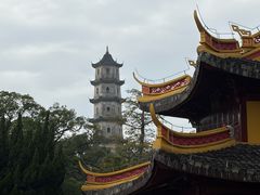 -江心屿景区