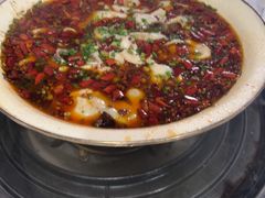 -三岔湖高家庄农家乐烤全羊柴火鸡翘壳鱼(三岔湖店)