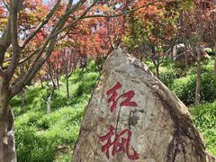 -广州市帽峰山景区