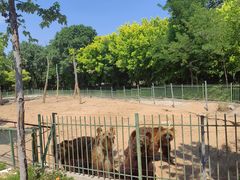 -秦皇岛野生动物园