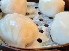 -添运来(茶园奥园广场店)