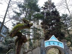 -莫干山风景区