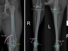 -东莞宠友24H宠物中心医院·转诊夜诊·异宠(新河北路院)