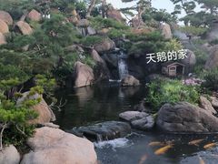 -罗红摄影艺术馆