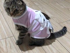 -美联众合动物医院·24h京西诊疗中心