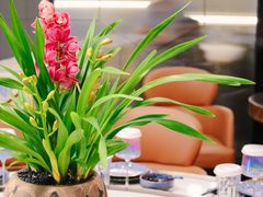 -花间别院(凤凰店)