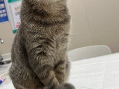 -安安宠医·臻爱宠物医院·宠保定点(营门口路分院)