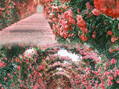 -广富林郊野公园