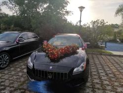 -蚂蚁婚车