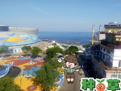 -海合安青岛极地海洋公园