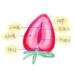 -邢台妇产医院