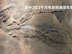 -甘肃地质博物馆