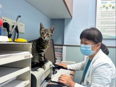 -纳吉亚猫专科动物诊疗中心(蒋宅口分院)