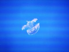 -长春农博园