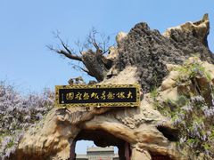 -大槐树寻根祭祖园