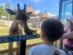 -西霞口神雕山野生动物世界