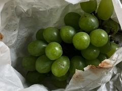 -马陆小张葡萄园农家乐