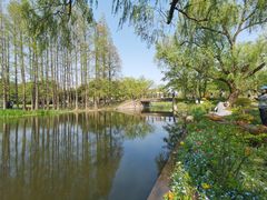 -上海共青森林公园