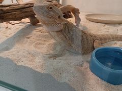 -喵园·猫主题咖啡厅·撸猫·猫咖(国贸店)