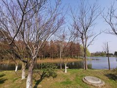 -尚贤河湿地