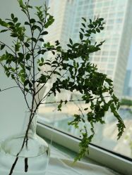 -Yue Show馨选·半永久纹眉纹眼线