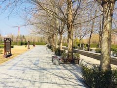 -洛阳市隋唐城遗址植物园