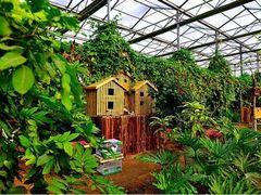 -呀路古热带植物园