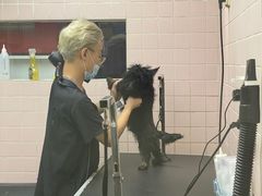 -FAELING PETS美天灵宠物(富力广场店)