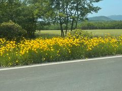 -茅山东方盐湖城景区