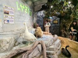 -Zoolung Zoolung动物主题公园(海信广场店)