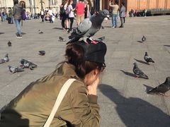 -圣马尔谷圣殿宗主教座堂