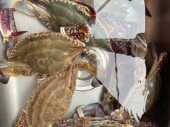 -滨海新区濒开里菜市场