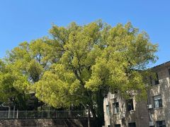 -福建师范大学(仓山校区)