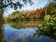 -溱湖国家湿地公园